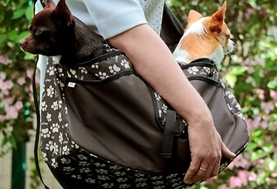 Taška pro přenášení psa Beverly Hills, L