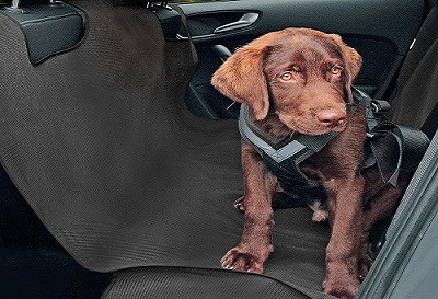 Potah pro převoz psa ALEX, XL